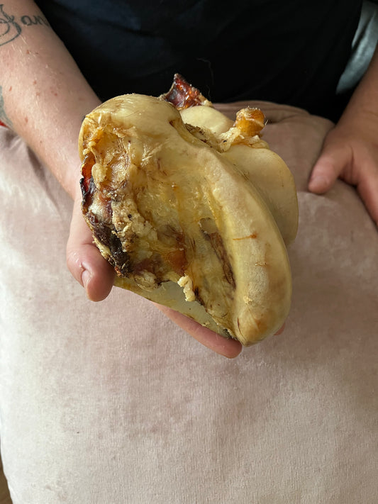 British Beef Knuckle Bones.