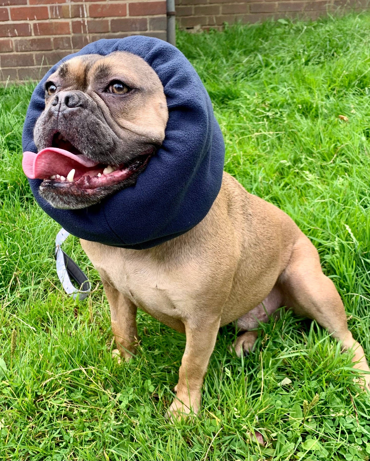 Navy blue Hush Muff: Small