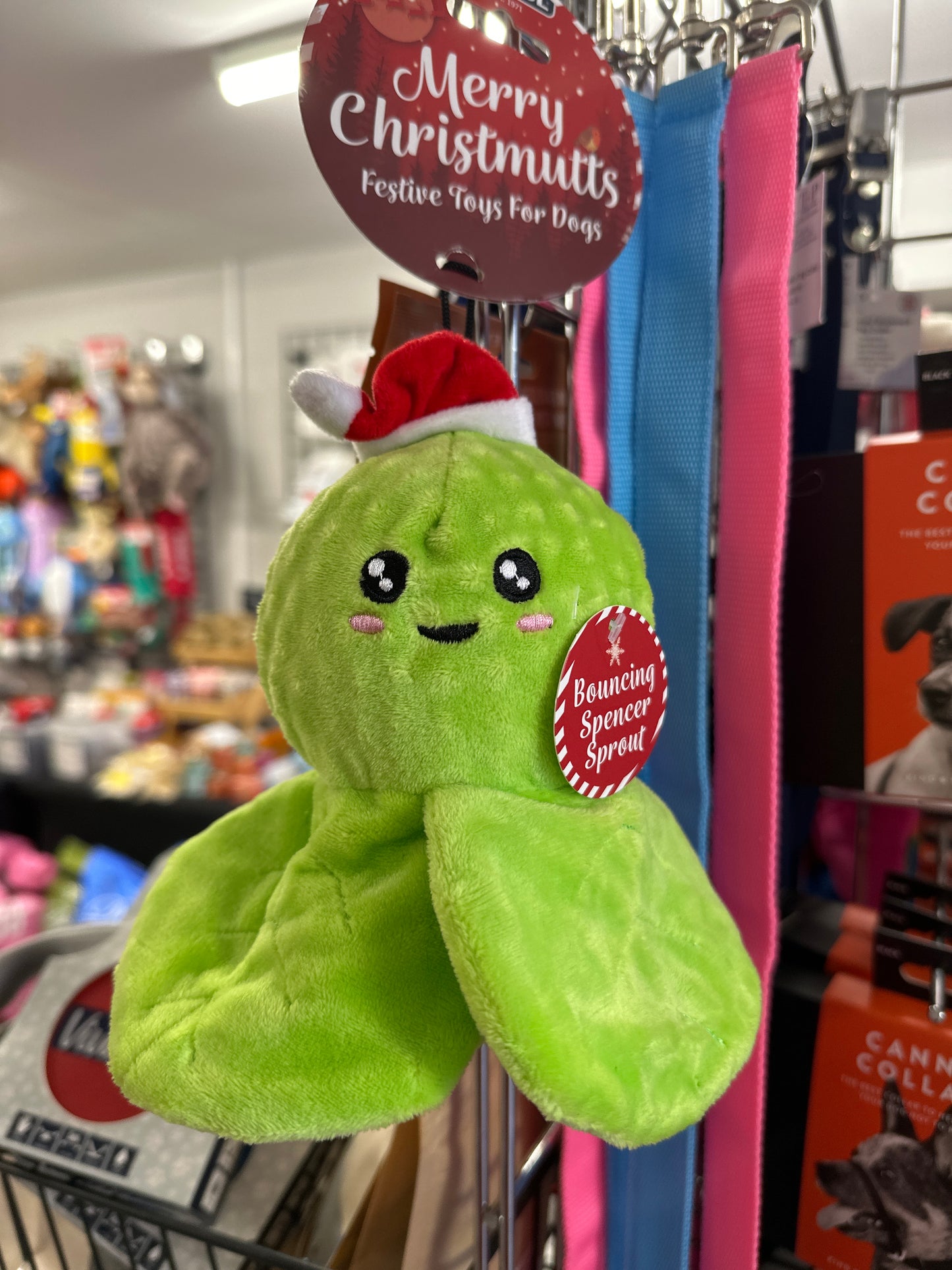 Ancol Boucing Spencer Sprout Dog Toy