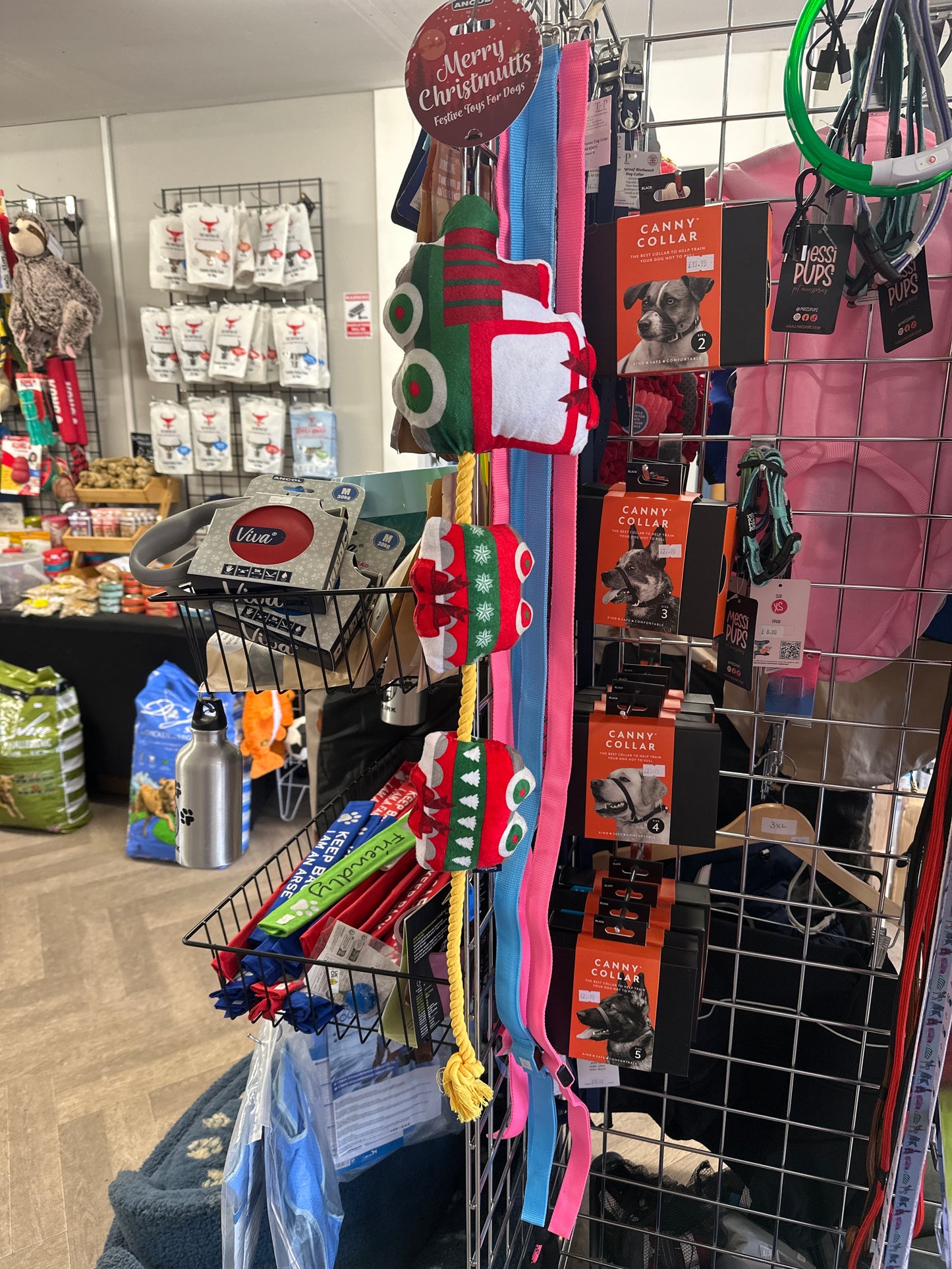 Ancol Christmas Express Dog Toy