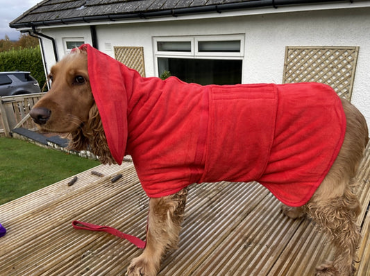 Premium Dog Drying Coat , Bathrobe