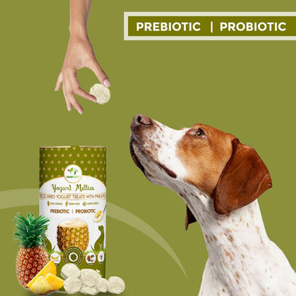 Prebiotic and Probiotic Dog Treats: Pineapple & Yogurt