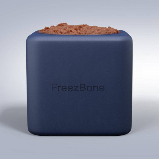 Freezbox Durable Eco-Friendly Pet Chew Toy: Purple / UP TO 140LBS DOGS