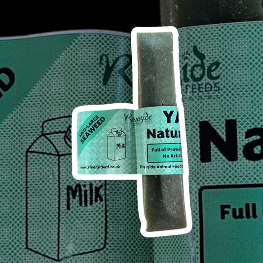 Riverside Seaweed Yak - Large