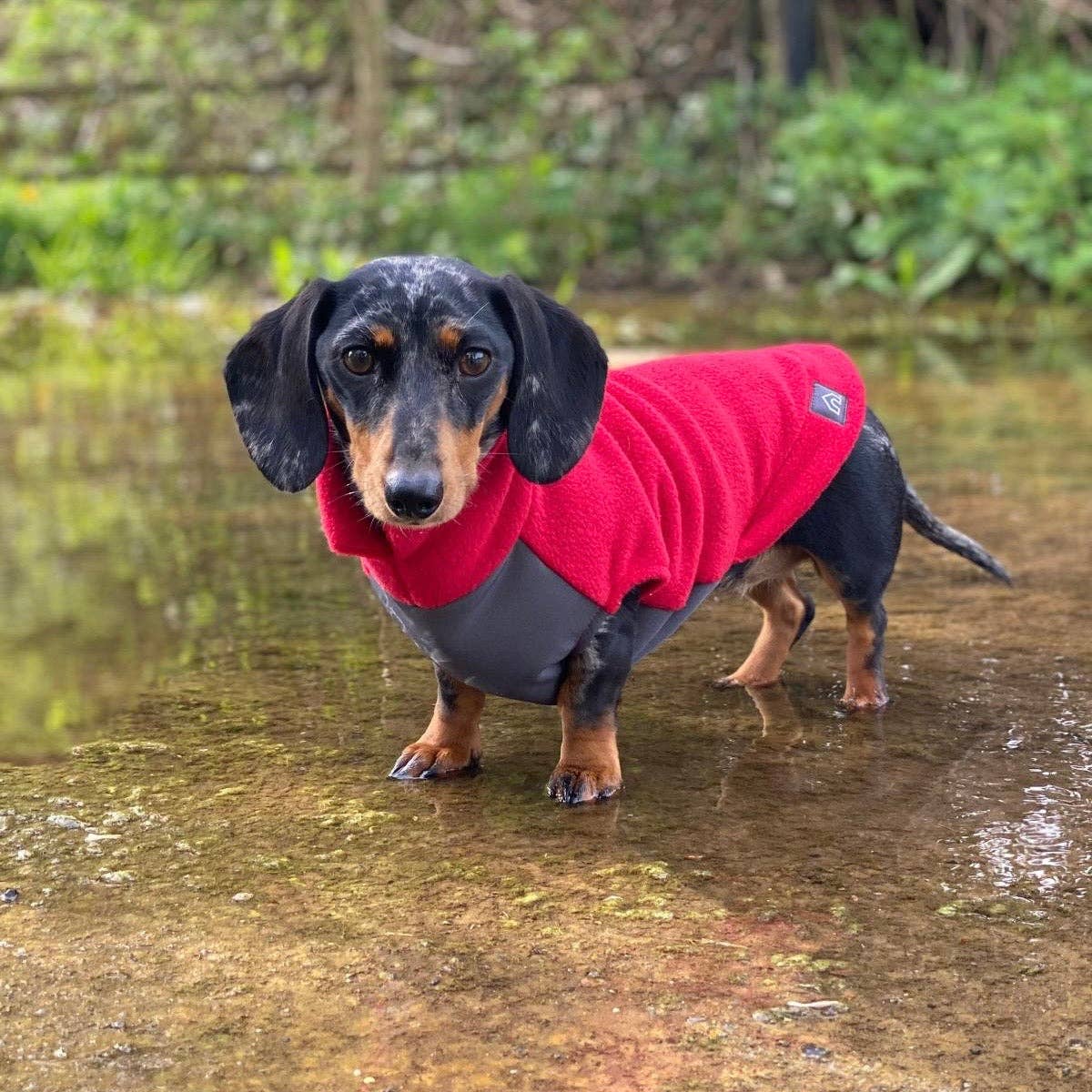 Dachshund Fleece Jumper with Waterproof Belly Panel: Ruby Red / Large