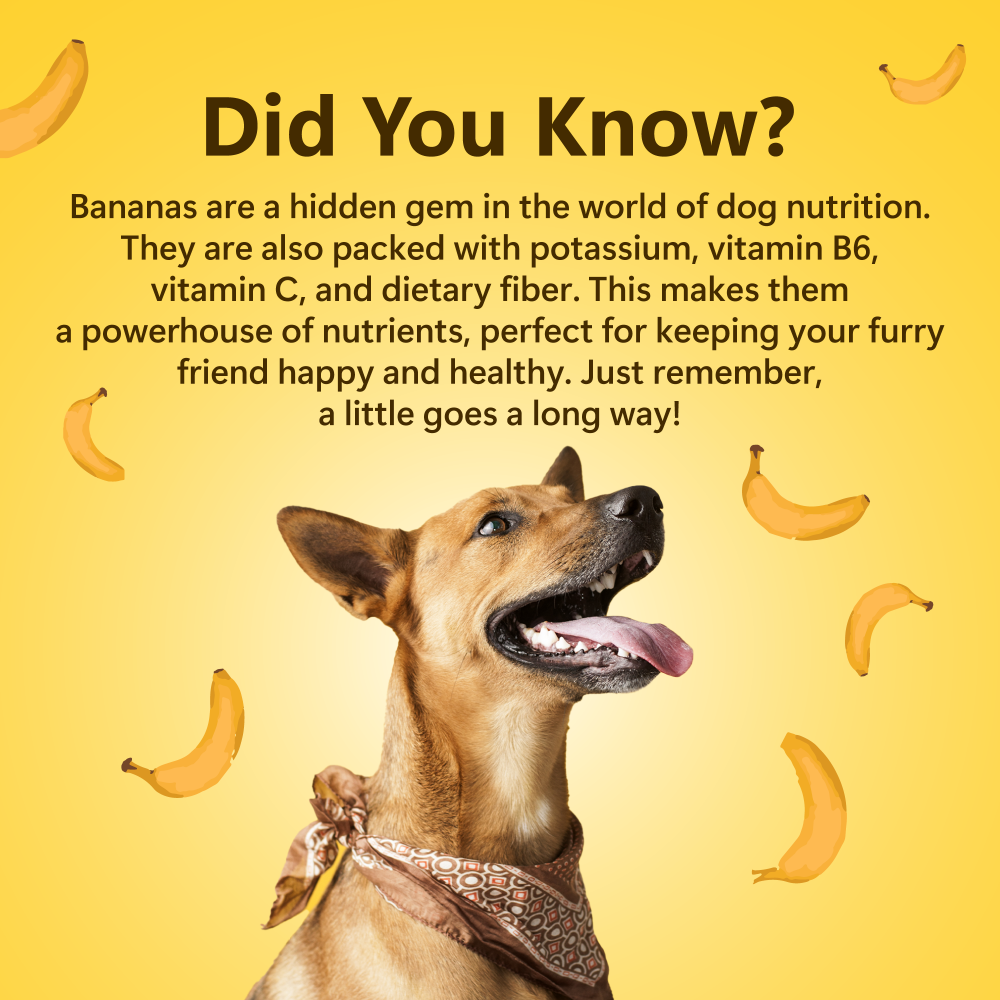 Pawfect Nature's Munch Freeze Dried Crispy Banana Treats