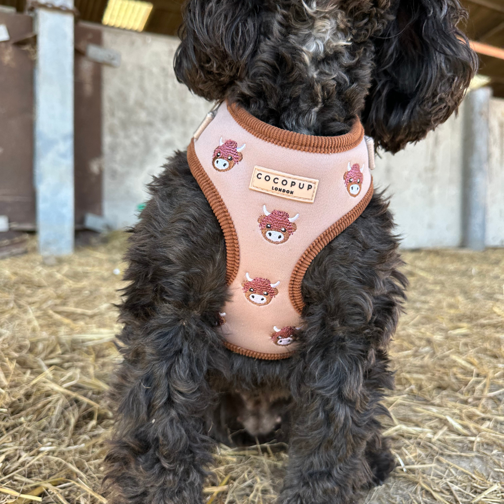 Harold the Highland Cow Adjustable Neck HARNESS: XXS