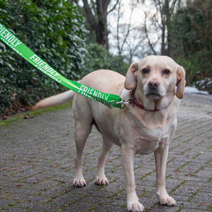 Awareness Training & Safety Dog lead 1.5m  'FRIENDLY'