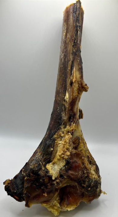 Large Ostrich Tibia Bone