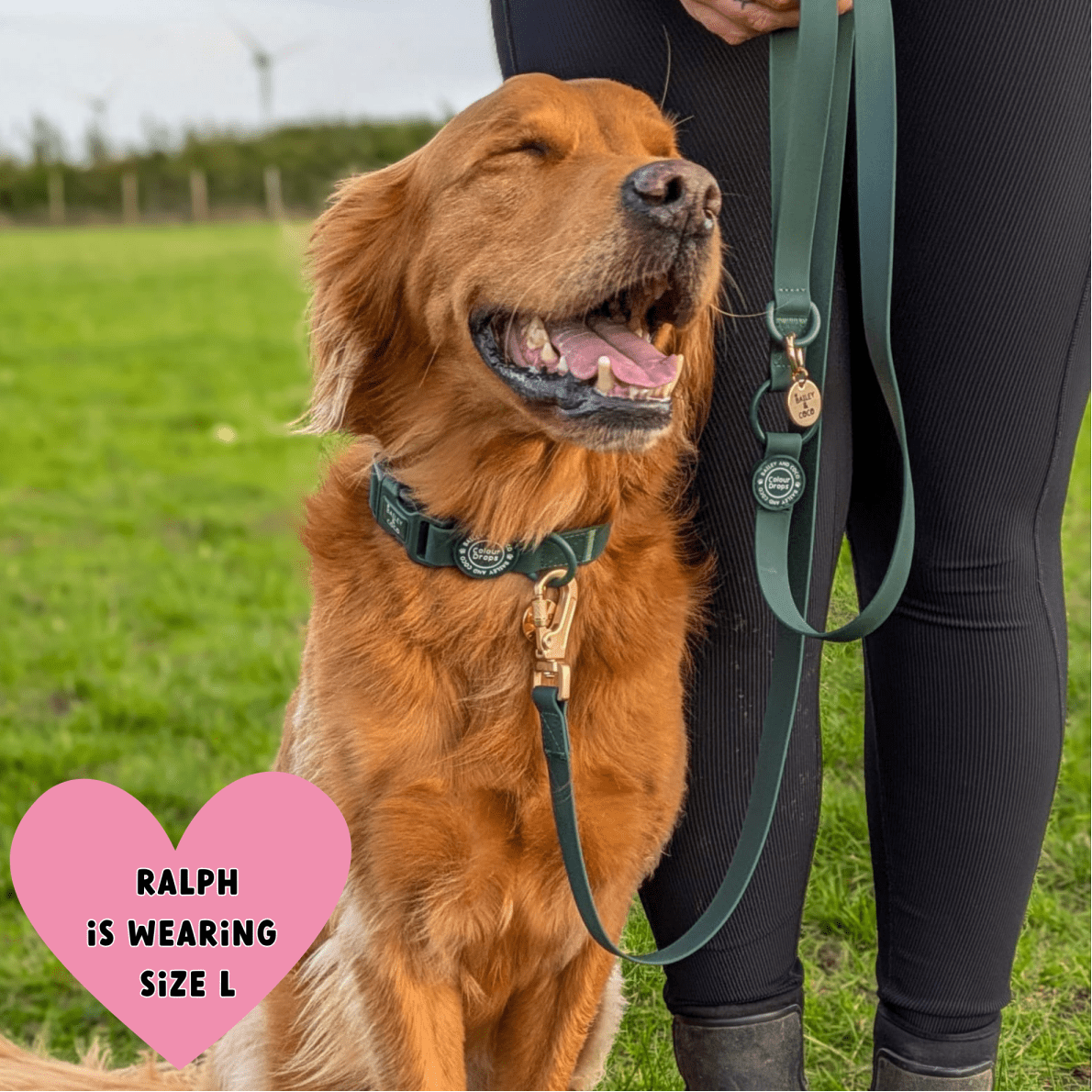 Waterproof Dog Lead - Colour Drops - Forest Green