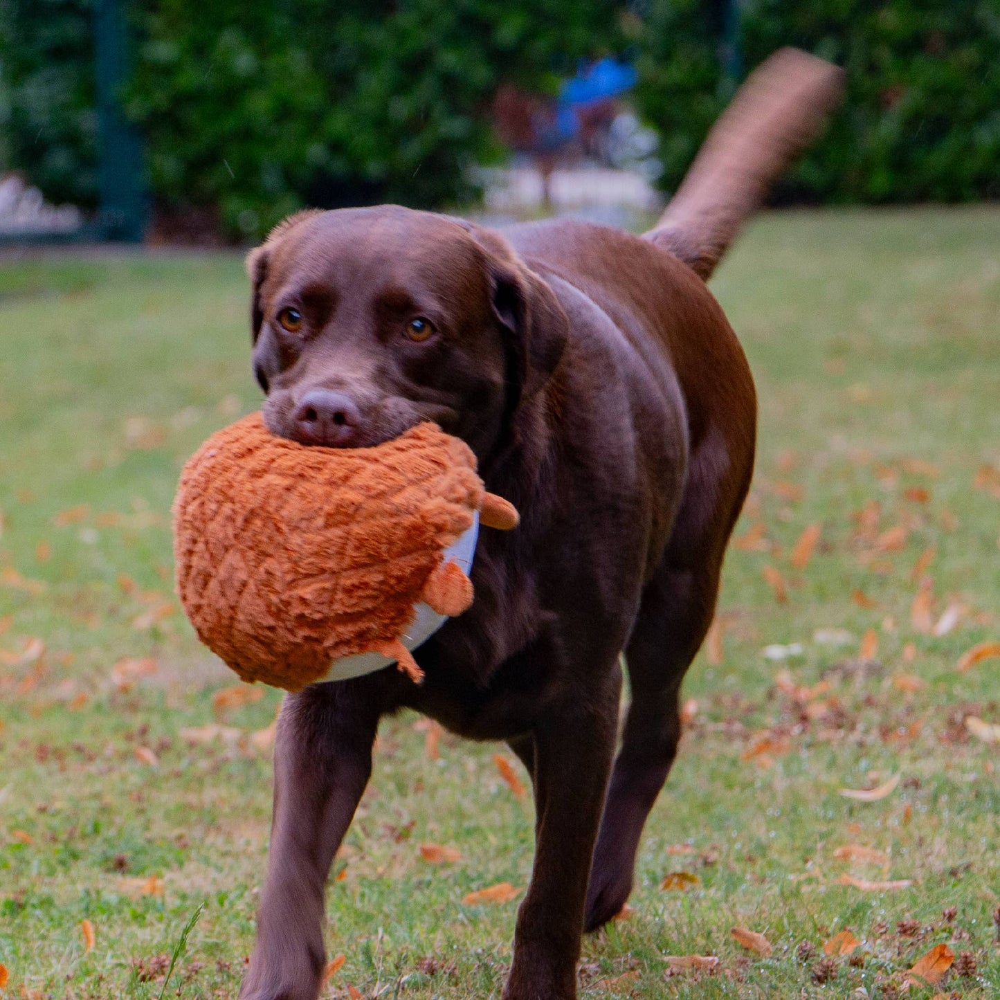 Playtime Cuddle Toy for Dogs - Quilted Woodland Animal