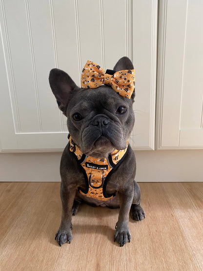 Trail & Glow® Dog Harness - Wanna-Bee: XS