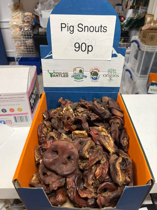 Pig Snouts - not puffed