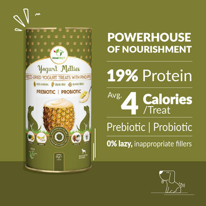 Prebiotic and Probiotic Dog Treats: Pineapple & Yogurt