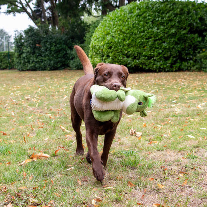 Playtime For Dogs Cuddly Sprout The Dragon