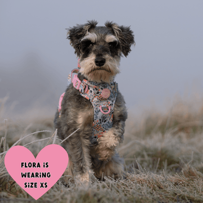 Floral Dog Harness - Colour Drops - Spring Dreams: XS