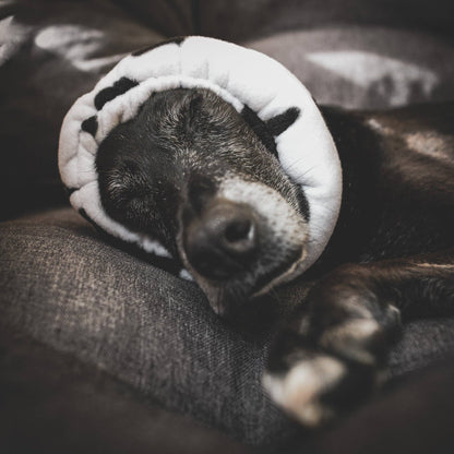 Cow print Hush Muff: Extra Large