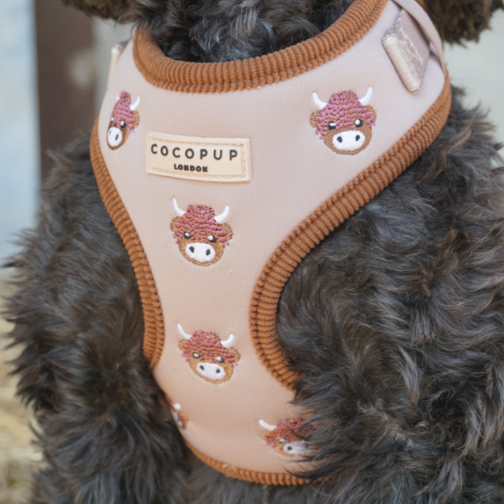 Harold the Highland Cow Adjustable Neck HARNESS: XXS