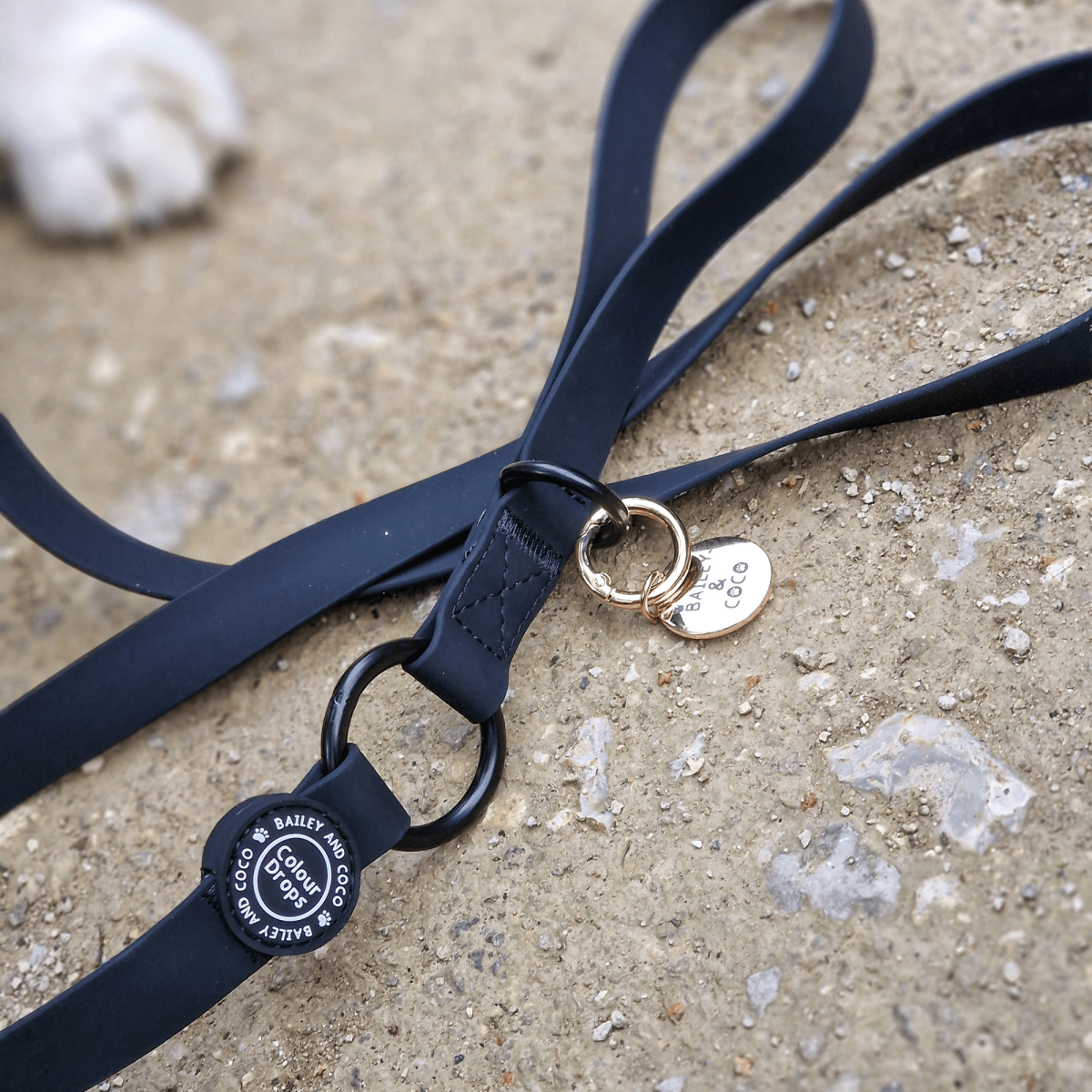 Waterproof Dog Lead - Colour Drops - Jet Black