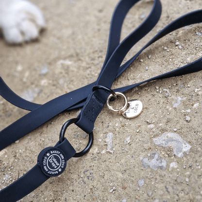 Waterproof Dog Lead - Colour Drops - Jet Black