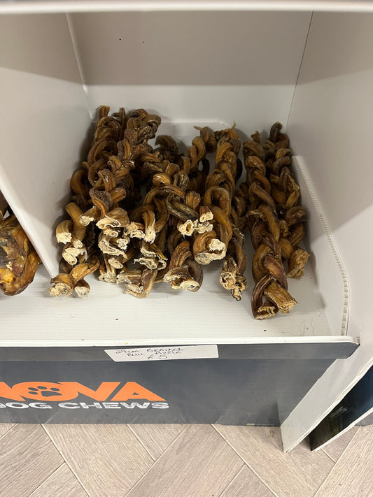 Braided Bull Pizzles