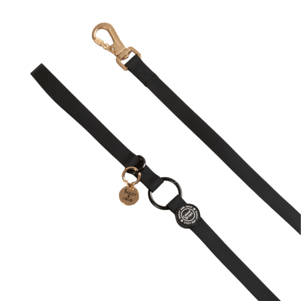 Waterproof Dog Lead - Colour Drops - Jet Black