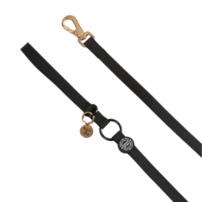 Waterproof Dog Lead - Colour Drops - Jet Black