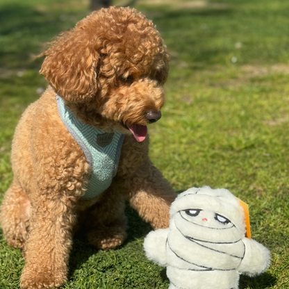 WufWuf Mummy Crinkle Plush Dog Toy , It's a 'wrap' of joy!