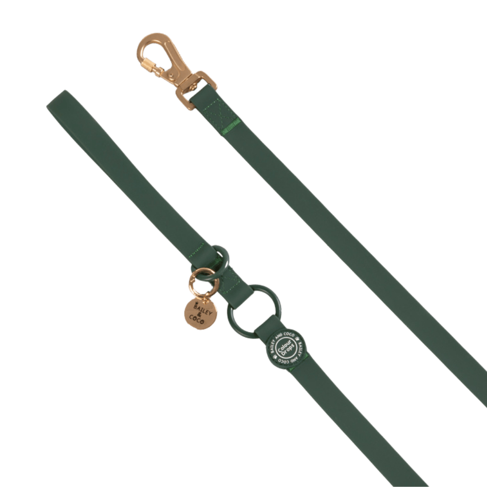 Waterproof Dog Lead - Colour Drops - Forest Green