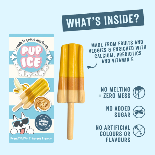 Pup Ice Lollies
