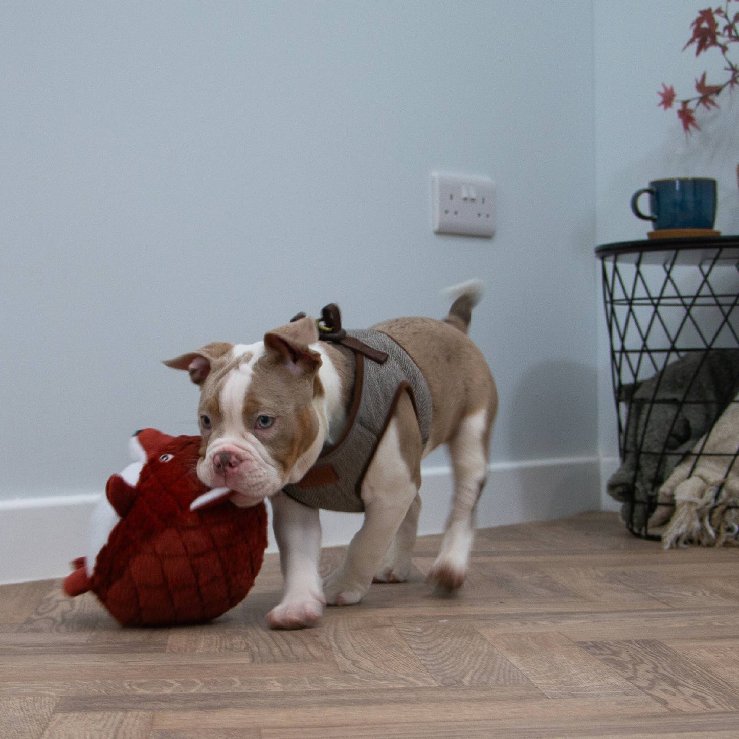 Playtime Cuddle Toy for Dogs - Quilted Woodland Animal