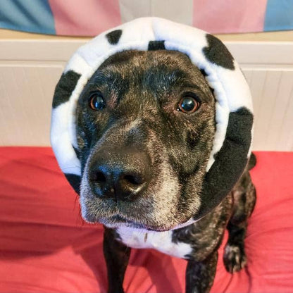 Cow print Hush Muff: Small