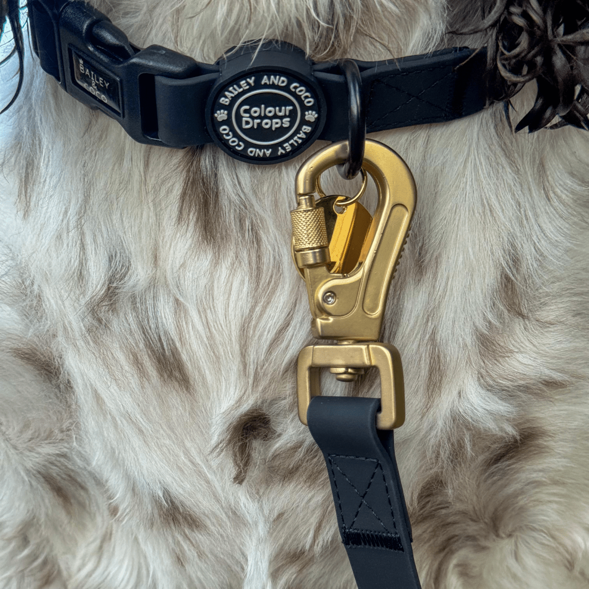 Waterproof Dog Lead - Colour Drops - Jet Black