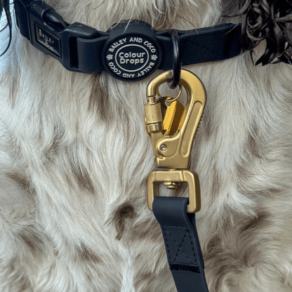 Waterproof Dog Lead - Colour Drops - Jet Black