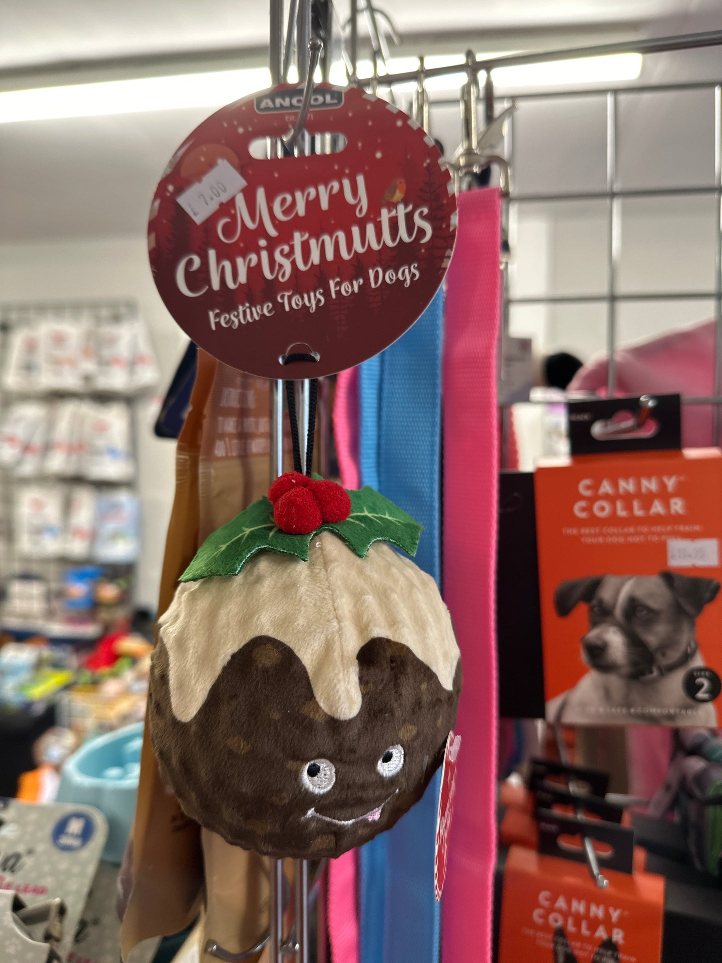 Ancol Bouncing Colin Jr Dog Toy