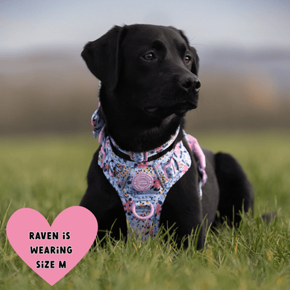 Floral Dog Harness - Colour Drops - Spring Dreams: XS
