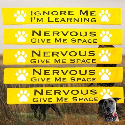 Lead Slips - Reactive, Nervous, Blind, Deaf, Friendly: Reactive