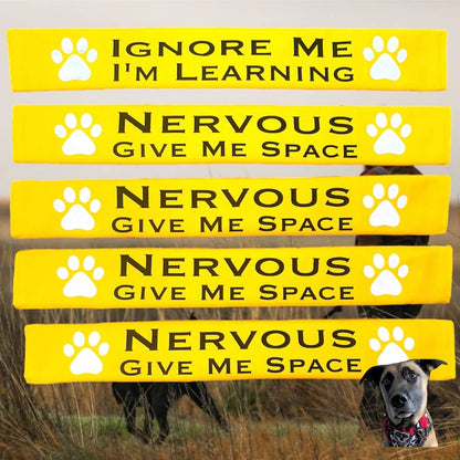Lead Slips - NERVOUS Give Me Space - YELLOW.