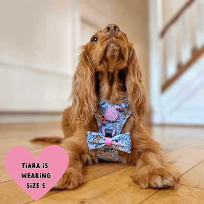 Floral Dog Harness - Colour Drops - Spring Dreams: XS