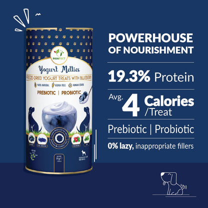 Prebiotic and Probiotic Dog Treats: Blueberry & Yogurt