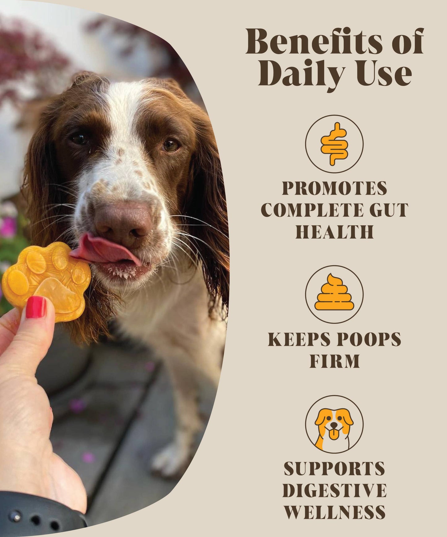 Pre & Probiotics For Dogs | Real Pumpkin Powder + Probiotic