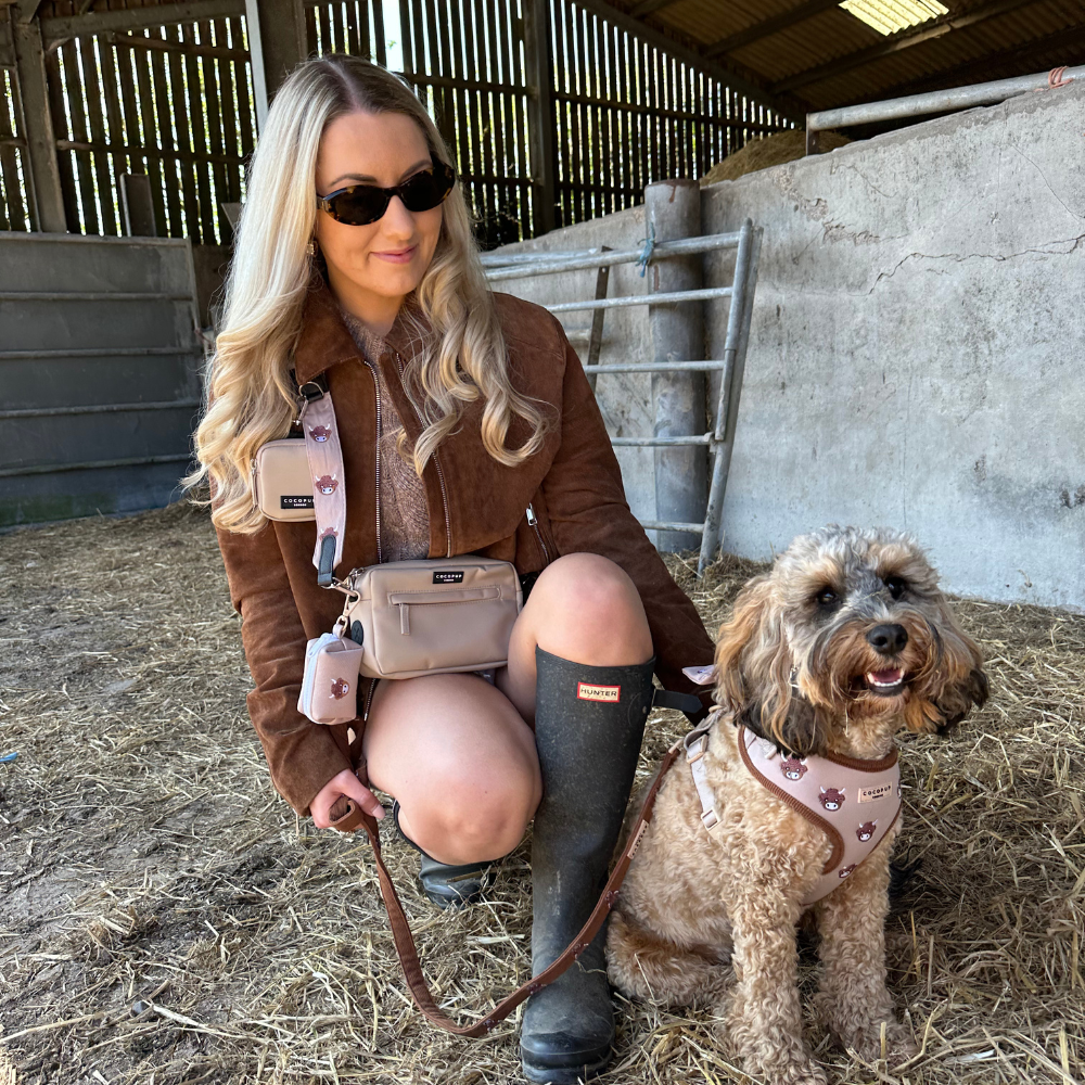 Harold the Highland Cow Adjustable Neck HARNESS: XXS