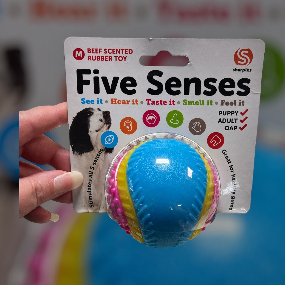 Five Senses Beef Scented Rubber Toy