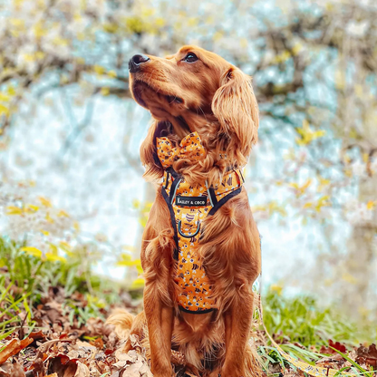 Trail & Glow® Dog Harness - Wanna-Bee: XS