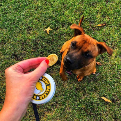 KIWI Walker DOG Treats - Freeze Dried Fruit: Kiwi