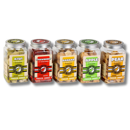 KIWI Walker DOG Treats - Freeze Dried Fruit: Kiwi
