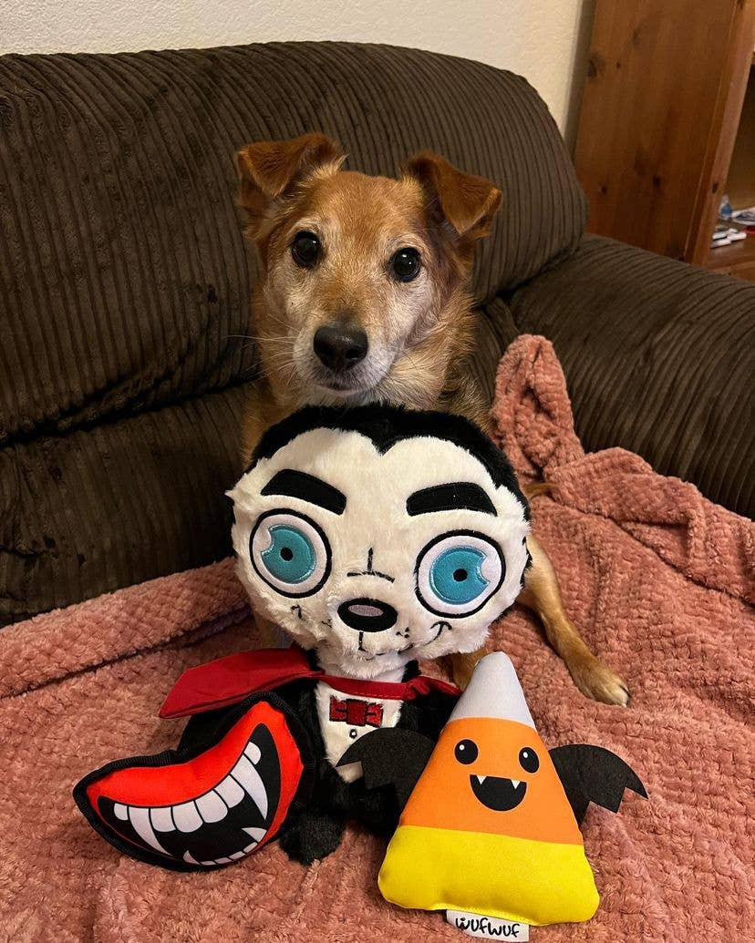 WufWuf Count Dogcula, Crinkle and Squeaky Dracula Dog Toy: Large