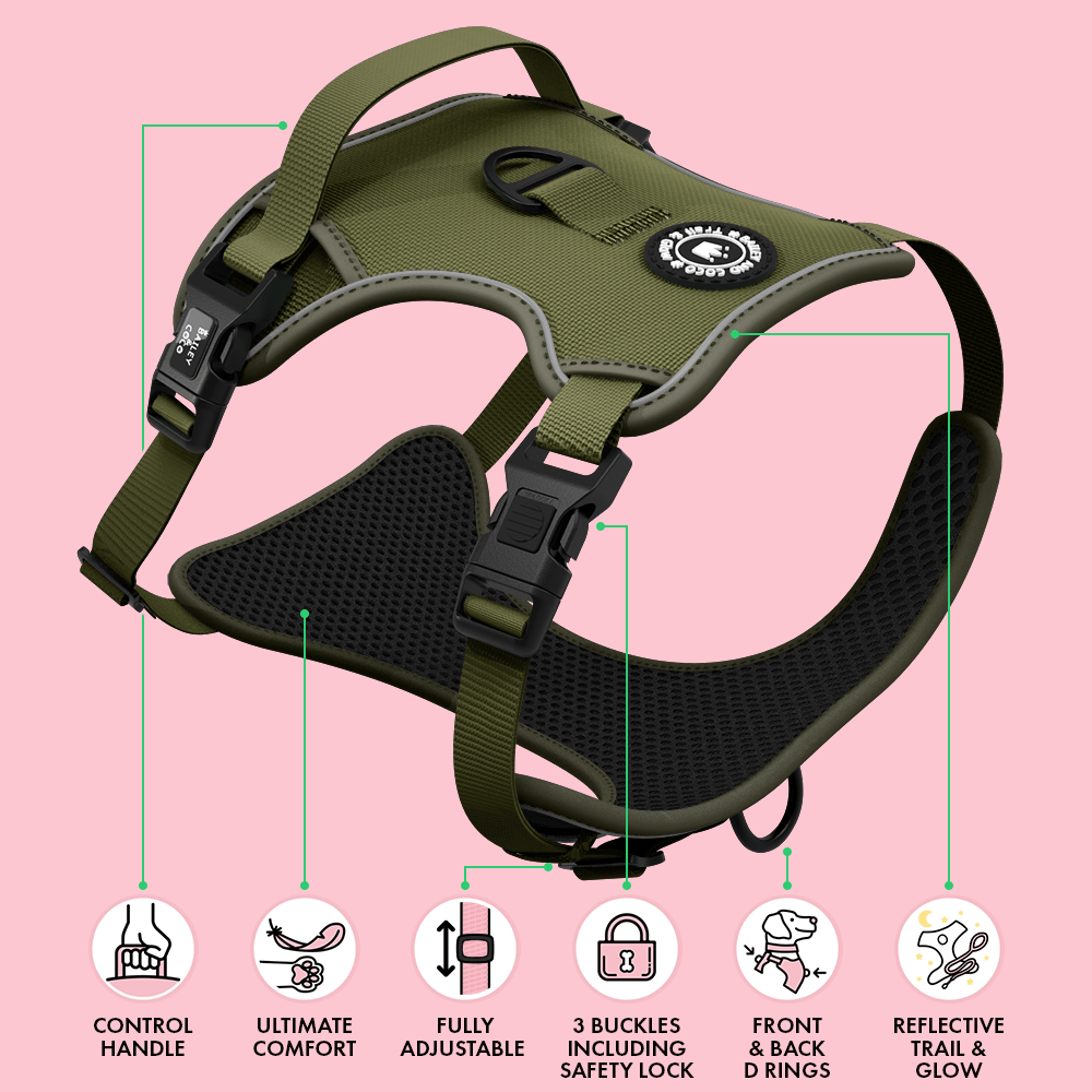 Trail & Glow® Dog Harness - The Khaki One: M