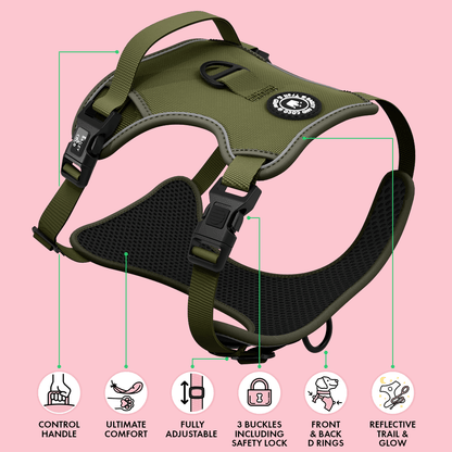 Trail & Glow® Dog Harness - The Khaki One: M