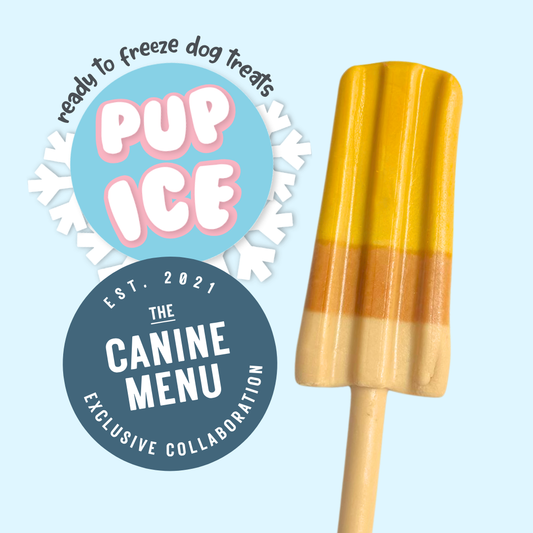 Pup Ice Lollies